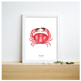 Affiche A5 Le Crabe | BLEU COQUILLE